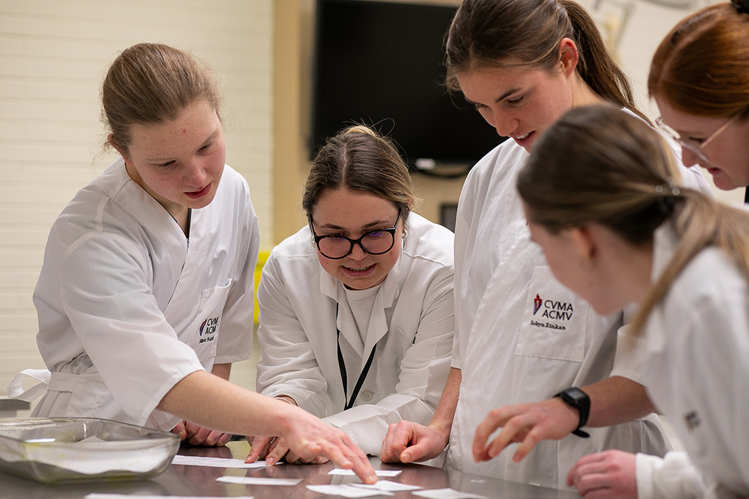 Students working in simulation centre