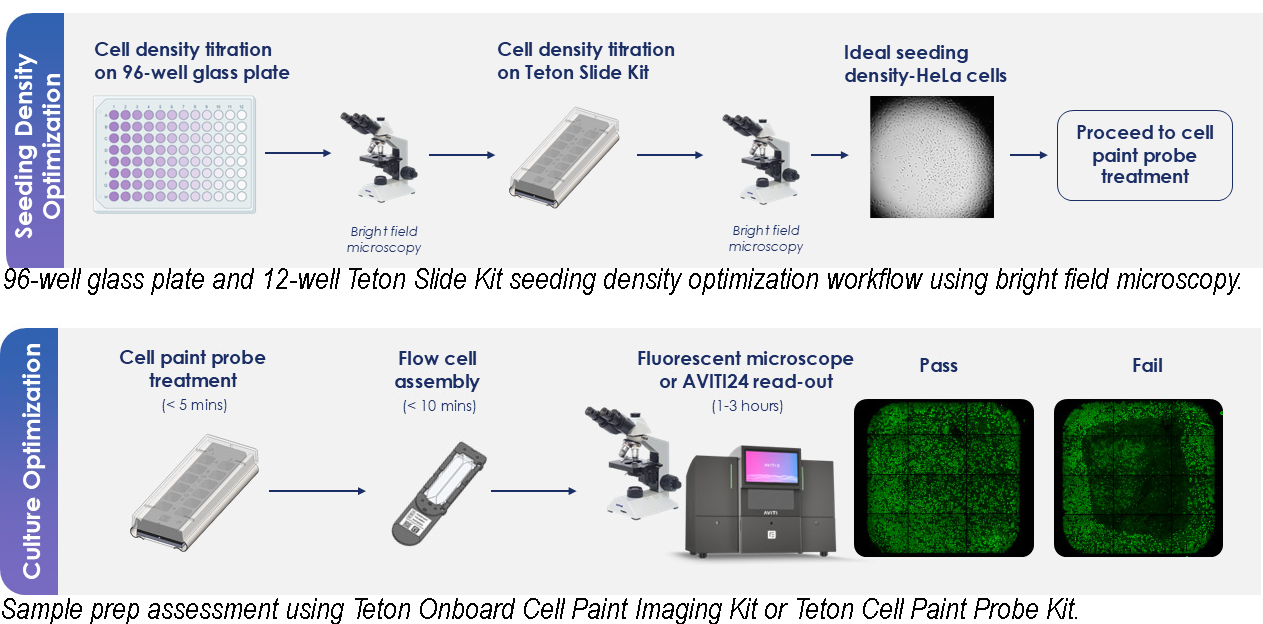 Cell_culture_optimization_procedure