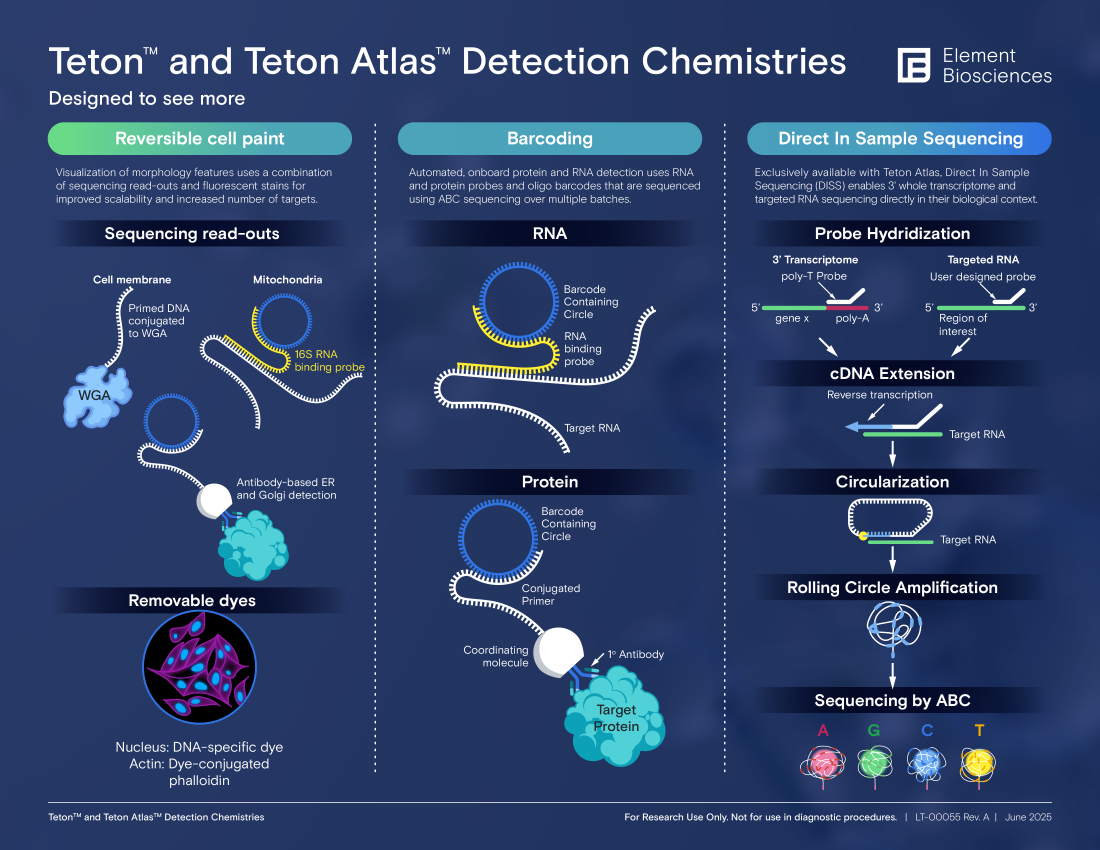 Teton_Chemistry_Infographic