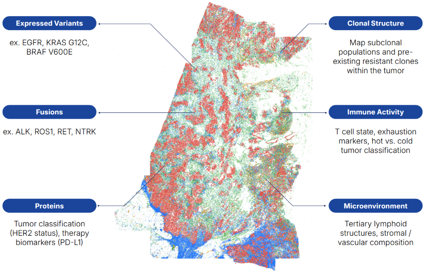 Spatial profiling