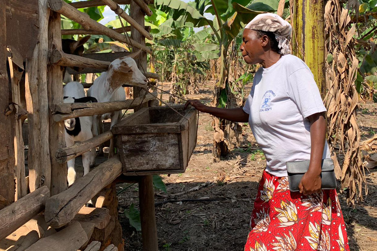 African woman with goats