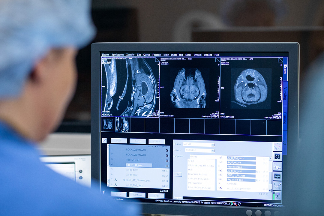 Picture of Magnetic Resonance Imaging (MRI) Unit