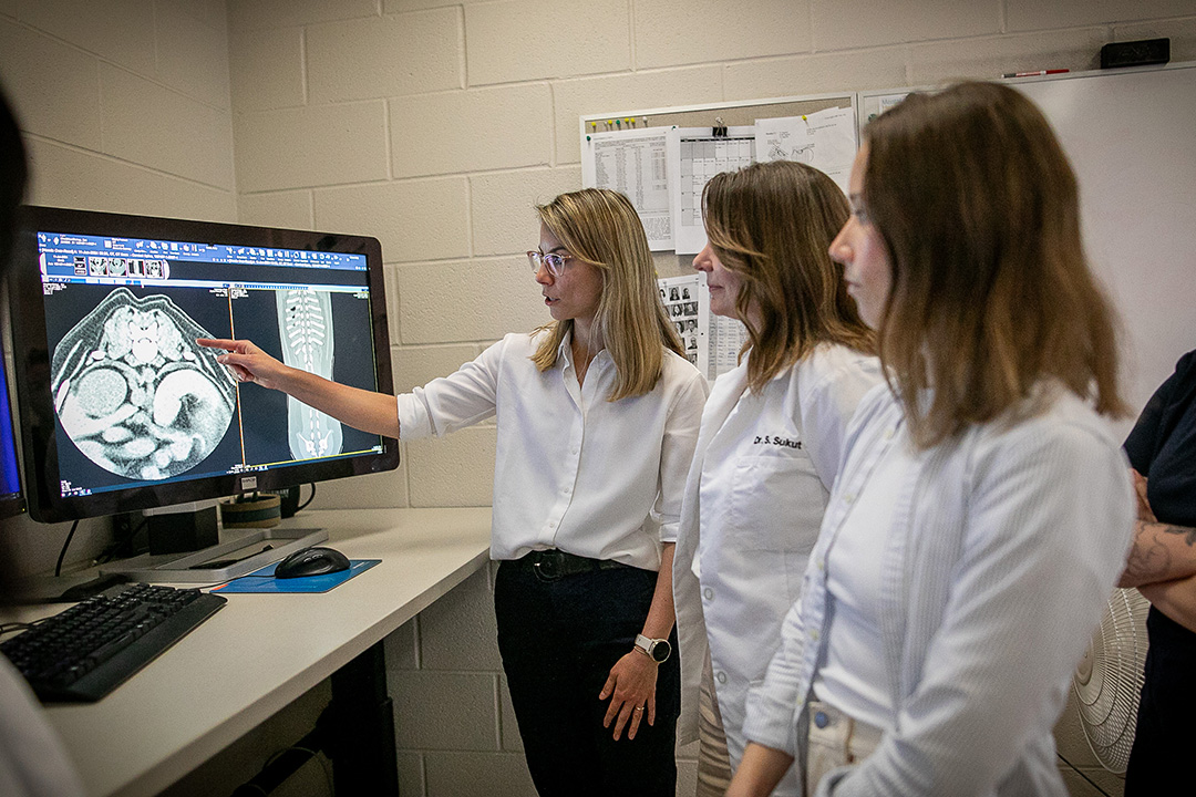 Medical imaging team members discuss an image on a screen