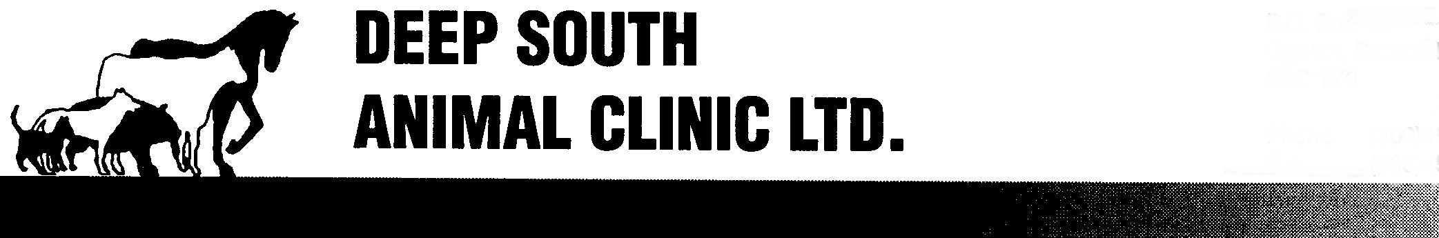 Deep-South-Clinic.jpg