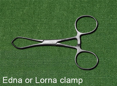 Edna or Lorna  towel clamp