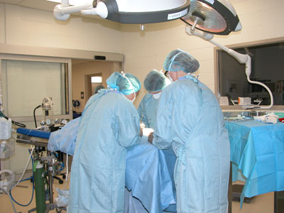 Surgeon Suturing